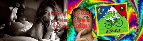 PSILOCYBIN Белокуриха