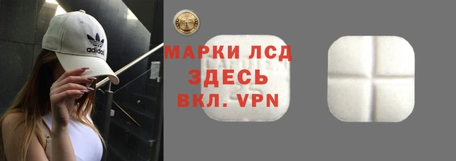 спайс Беломорск
