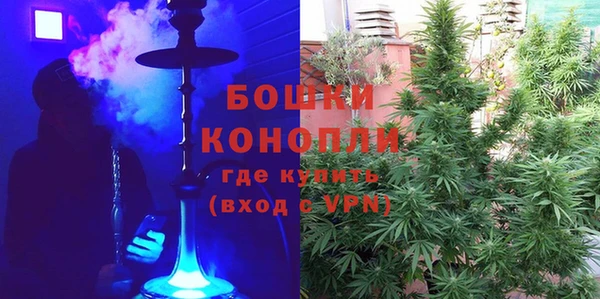 PSILOCYBIN Белокуриха