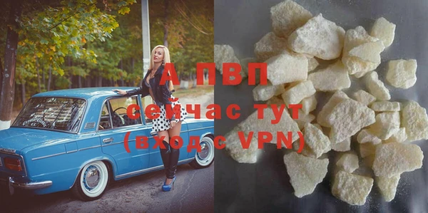 PSILOCYBIN Белокуриха