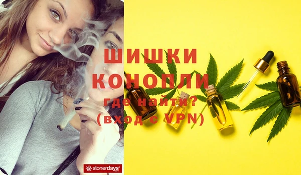 PSILOCYBIN Белокуриха