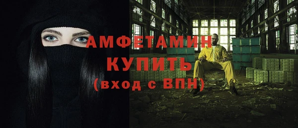 PSILOCYBIN Белокуриха