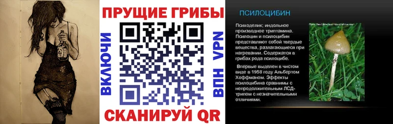 Псилоцибиновые грибы Psilocybine cubensis  гидра онион  Усмань 